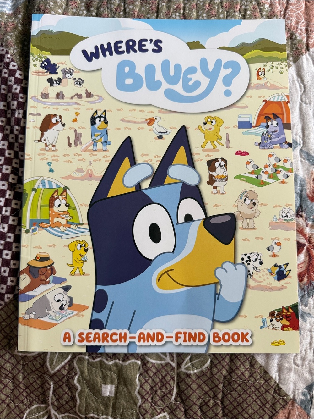 Disney Where's Bluey? Colorful Beach Search-and-Find Book